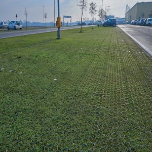 Geogreen_2