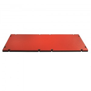 TIS_IJF_approved_red_front1