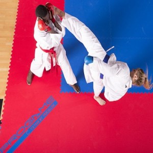 trocellen_wkf_2